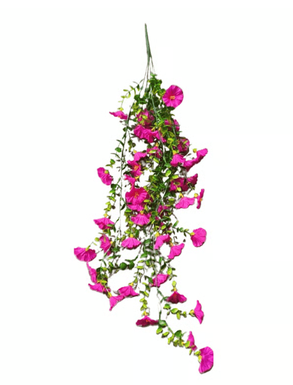 CILIFERĀ® šUV Resistant Hanging Morning Glory for Fall Decor