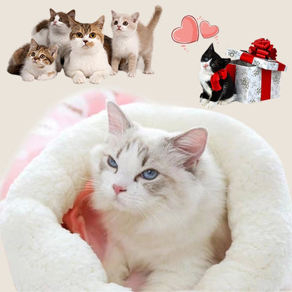 CILIFER® 🔥Last Day 49% OFF - 🐾Cozy Pet Nest for Cats and Dogs