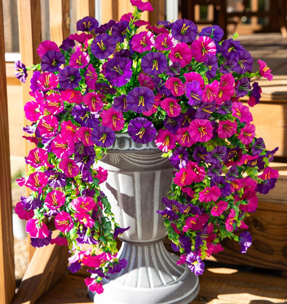 CILIFER® 🍂UV Resistant Hanging Morning Glory for Fall Decor