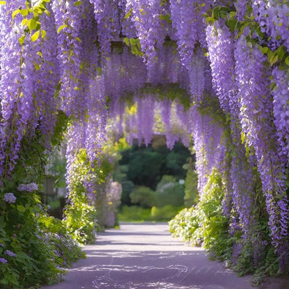 CILIFER® 🌸WISTERIA - THE GARDEN'S CASCADING BEAUTY ALL YEAR ROUND