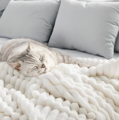 Sfrcord® 🔥Popular soft plush nap blanket