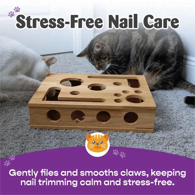 CILIFER® 🎁😻✨Cat Scratch Puzzle Enrichment Box: Nail File Stress Free Alternative to Clippers and Grinders