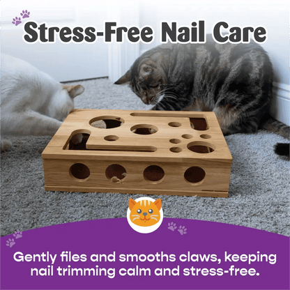 CILIFER® 🎁😻✨Cat Scratch Puzzle Enrichment Box: Nail File Stress Free Alternative to Clippers and Grinders